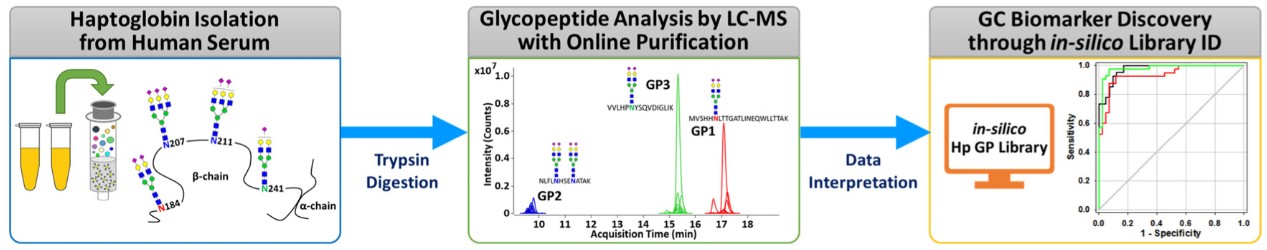 Fig. 1. The workflow of the middle and upper glycoproteomics approach for gastric cancer diagnosis. (OA Literature)