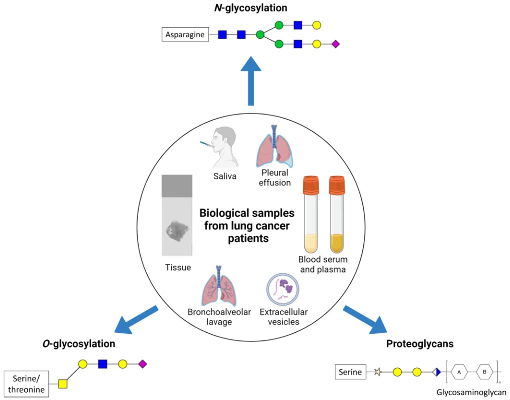 Fig. 1. Common lung cancer samples and glycosylation types. (OA Literature)