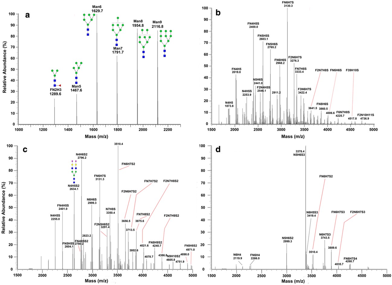 Fig. 2. Glycosylation analysis results of OVCAR-3 cells. (OA Literature)
