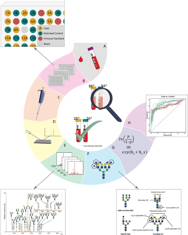 Fig. 2. N-glycosylation analysis process in PDAC samples. (OA Literature)