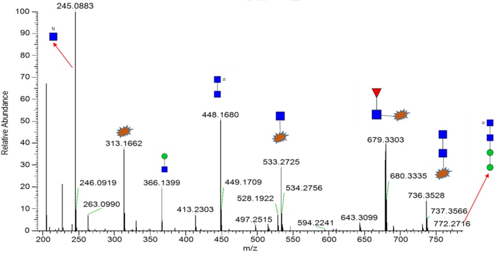 Fig.4 Glycan profiling result of G0f-HexNAz. (Creative Biolabs Original)