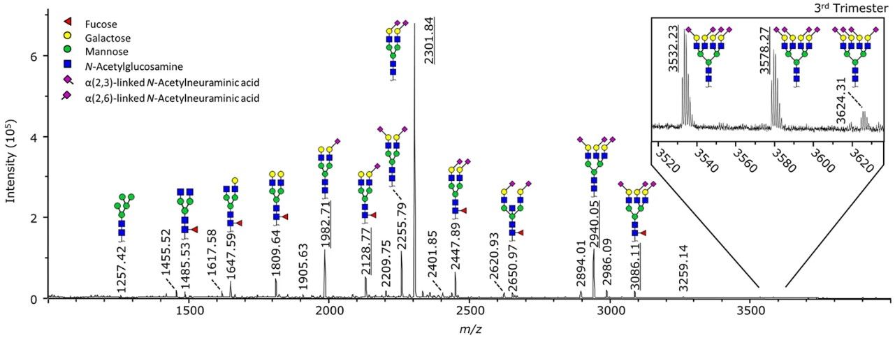 Fig.2 Results of N-glycan analysis in serum samples.