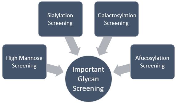 High-throughput Glycan Screening Service 2