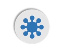 Pathological studies on SARS-CoV-2