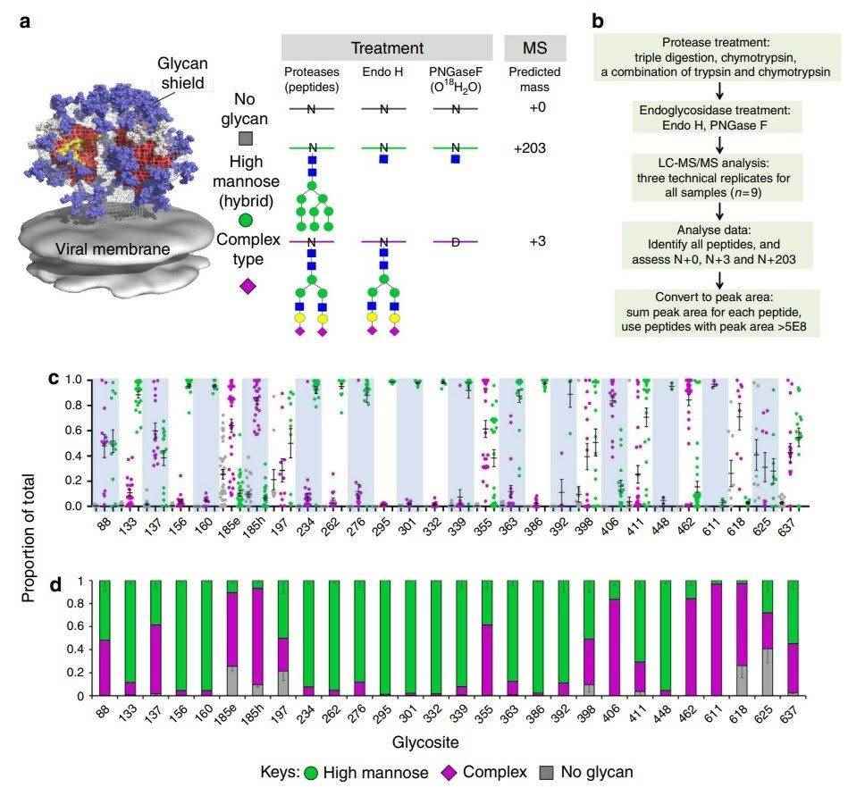 Site-specific glycosylation analysis of HIV-1 Env.