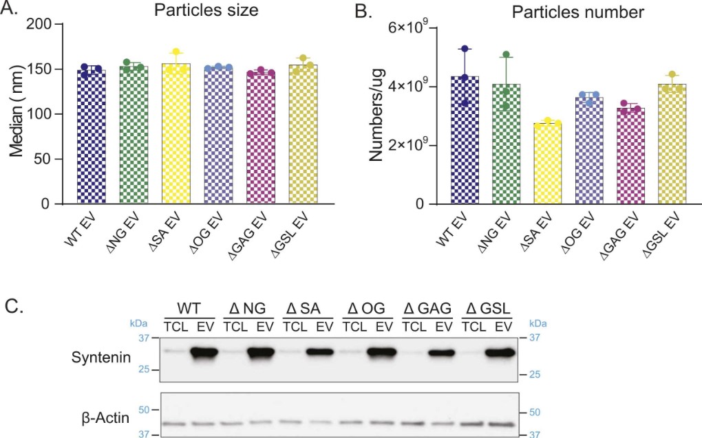 Fig.2 Tracking analysis of sEVs produced by glycoengineered cell lines.