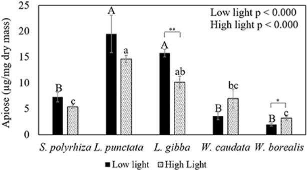 Fig.1 Apiose content in duckweed cell walls under two light intensities.
