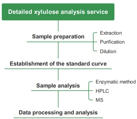 Detailed xylulose analysis process. (Creative Biolabs Original)