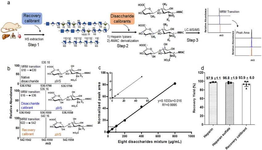 Fig.2 Validation of disaccharide and recovery calibrants in the heparan sulfate analysis protocol.