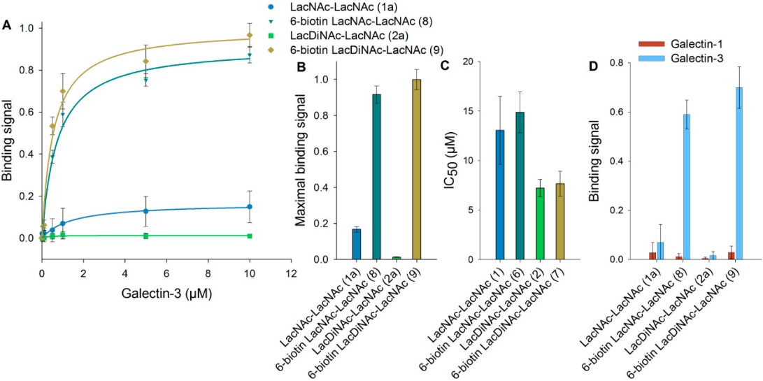 Fig.1 Effects of biotinylation of glycans on galectin binding and inhibition.