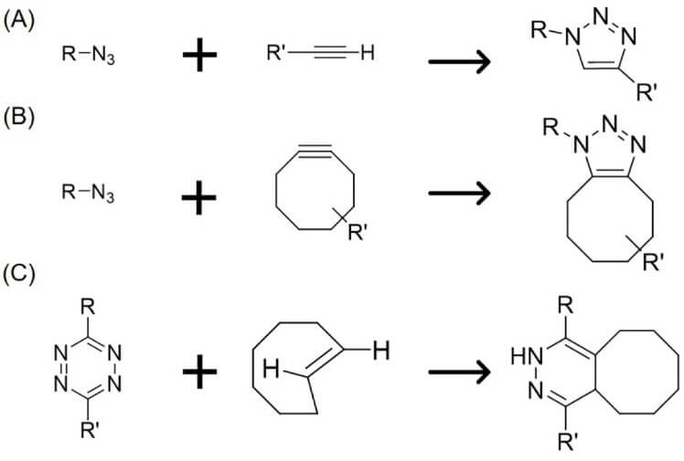 Fig. 1. Diagrams of various click chemistry reactions. (OA Literature)