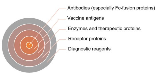 Types of glycoproteins based on aldehyde coupling. (Creative Biolabs Original)