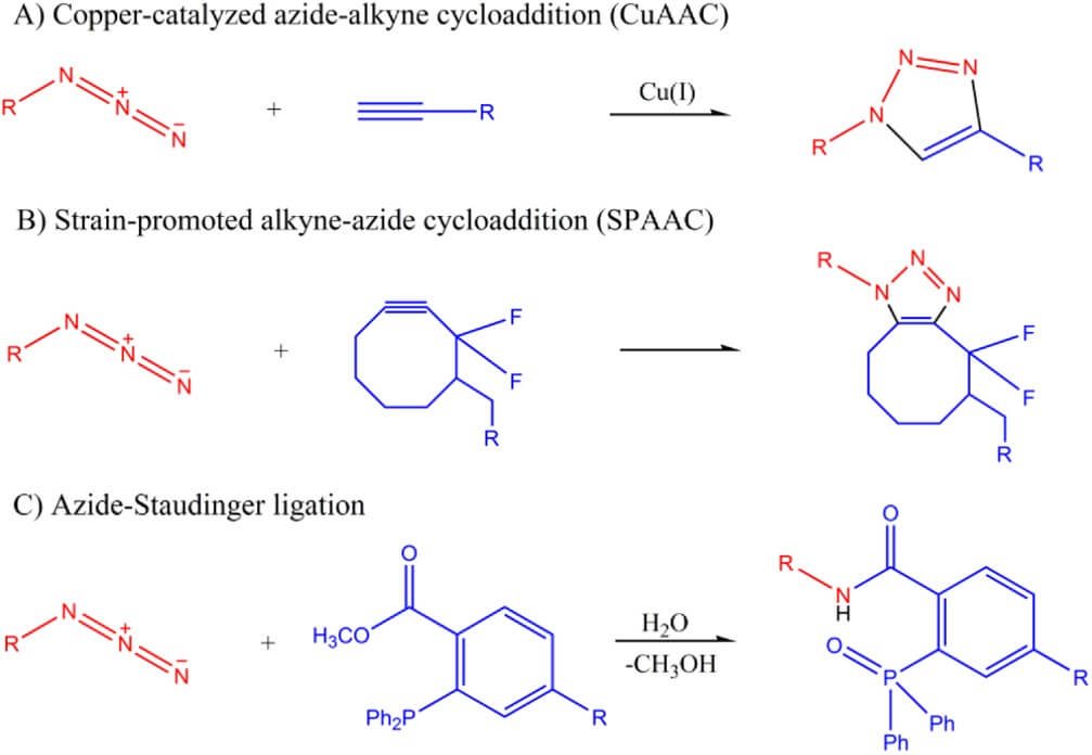 Fig. 2. Principles of click chemistry in glycobiology. (OA Literature)