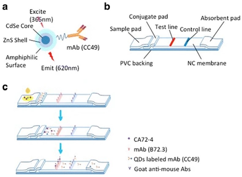 Fig.1 ICTS construction process.