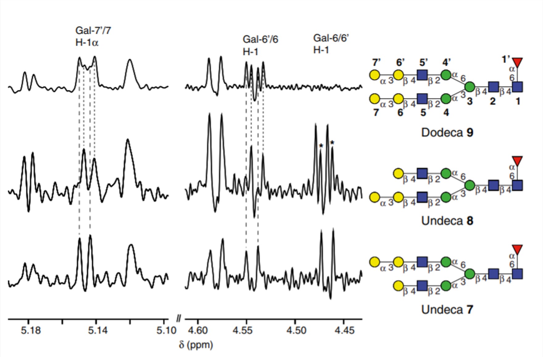 NMR data of native glycans. 