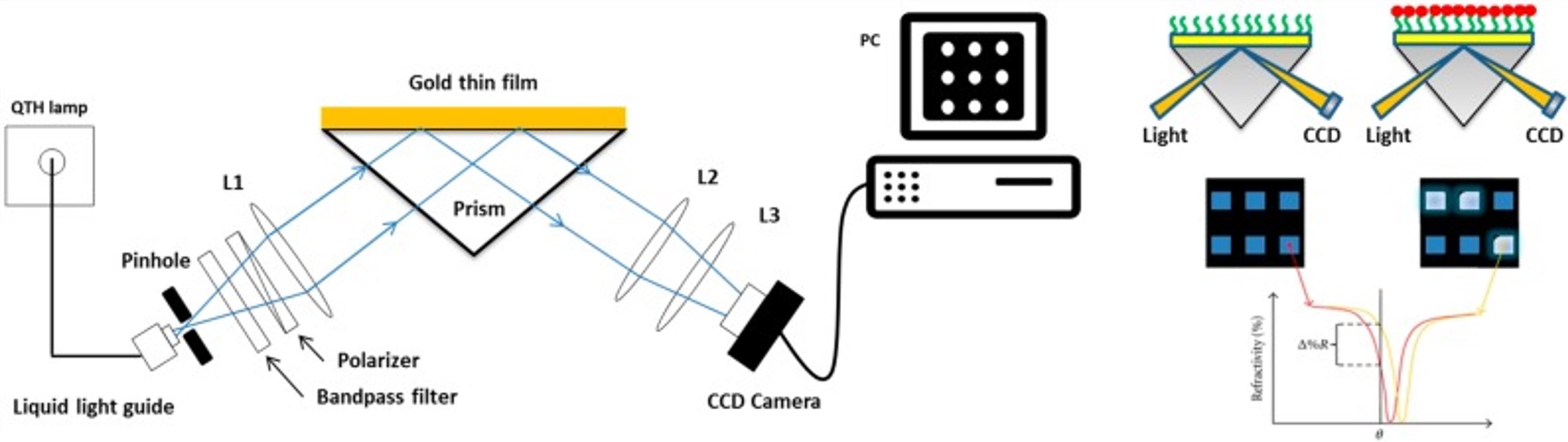 Fig.1 Schematic diagram of SPRi analysis. (Nguyen, et al., 2015)