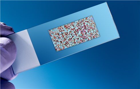 100 Glycan Microarray