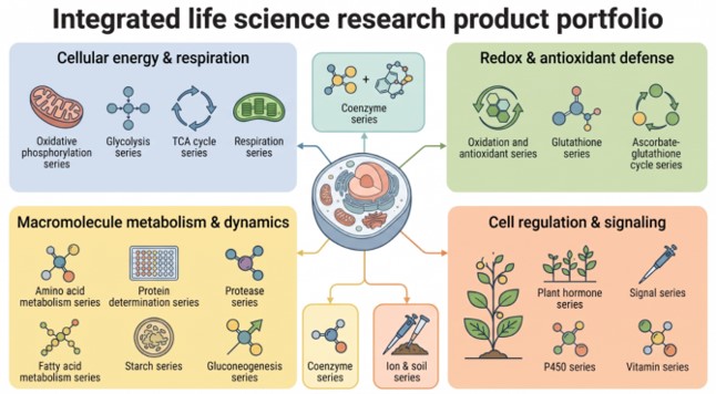  A diverse range of metabolic assay kits. (Creative Biolabs AI)