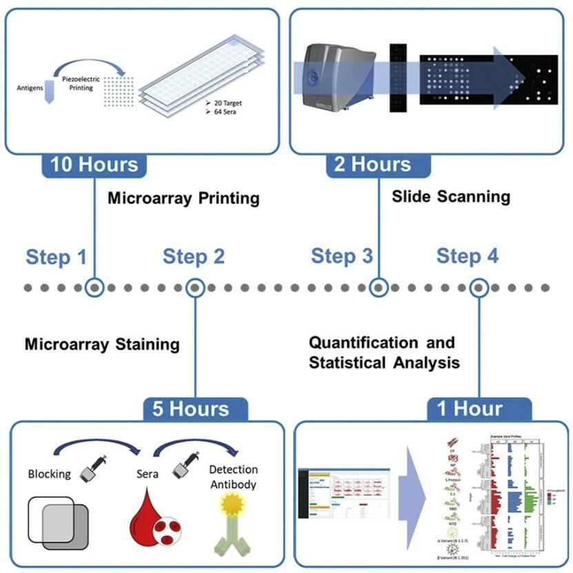 Fig.1 Different proteins-based microarray protocols.