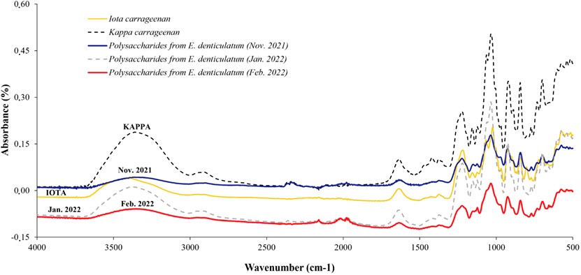 Fig.1 FTIR test results of carrageenan and polysaccharide extracts.