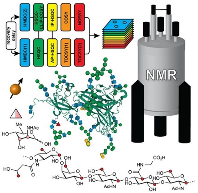 Fig.2 NMR for glycan analysis.