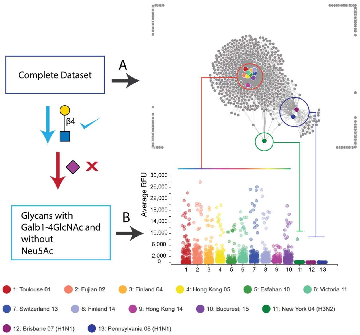 Fig.2 Visualization of glycan microarray data.