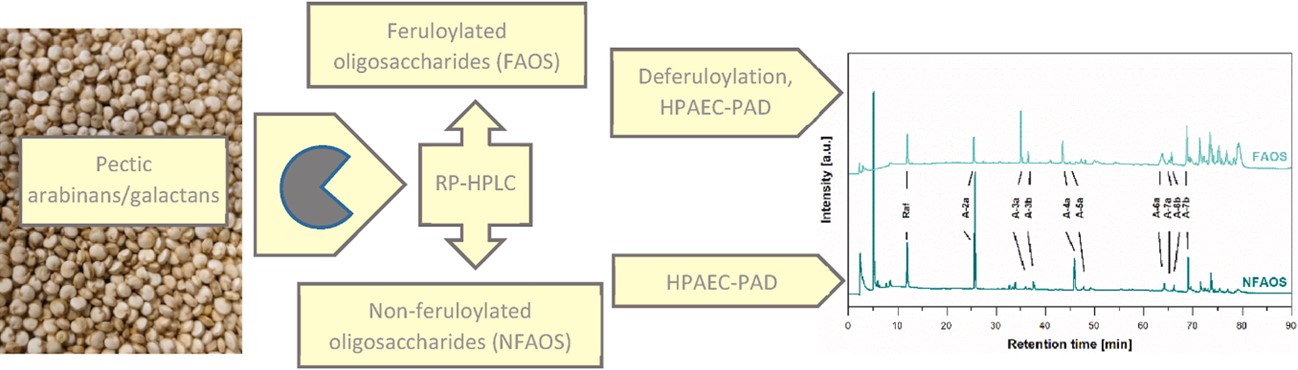 Fig.1 Chromatographic analysis results of feruloylated and non-ferruloylated oligosaccharides.