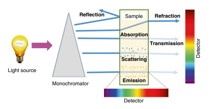 Schematic of fluorescence detection.