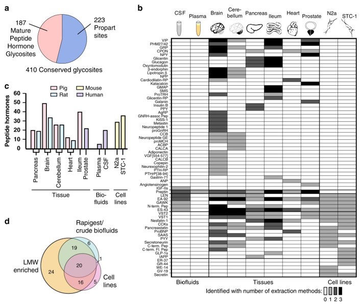 Fig.3 Summary of glycosylated peptide hormone assays. (Madsen, et al., 2020)