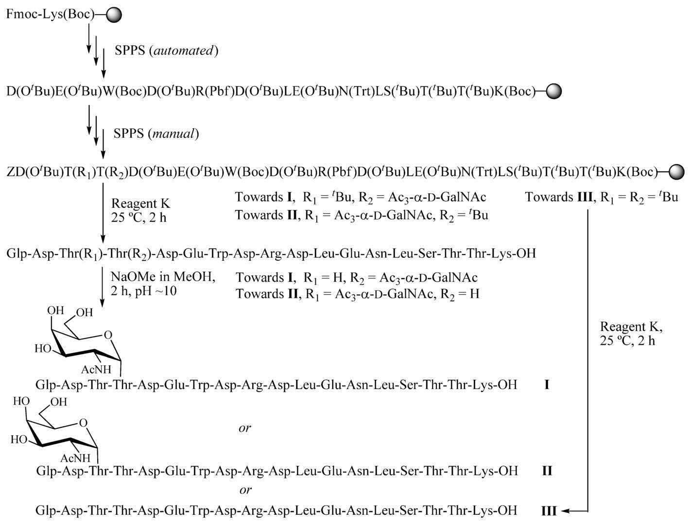 Fig.1 Solid-phase synthesis of three glycopeptide fragments taken from Crisp-1. (Liu, Hamilton & Barany, 2010)