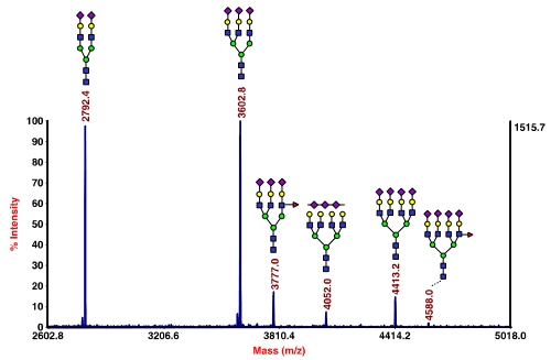 MALDI-TOF-MS of permethylated N-glycans enzymatically released from α-1-acid glycoprotein. 