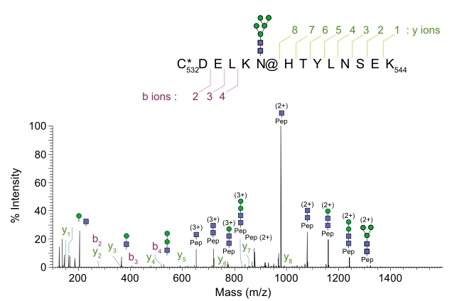 Fig.2 Example of MS/MS-HCD spectra of glycopeptides. (Shajahan, et al., 2017)