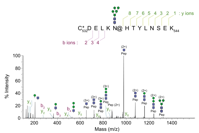 An example MS/MS-HCD spectrum of a glycopeptide carrying a high-mannose type N-glycan.