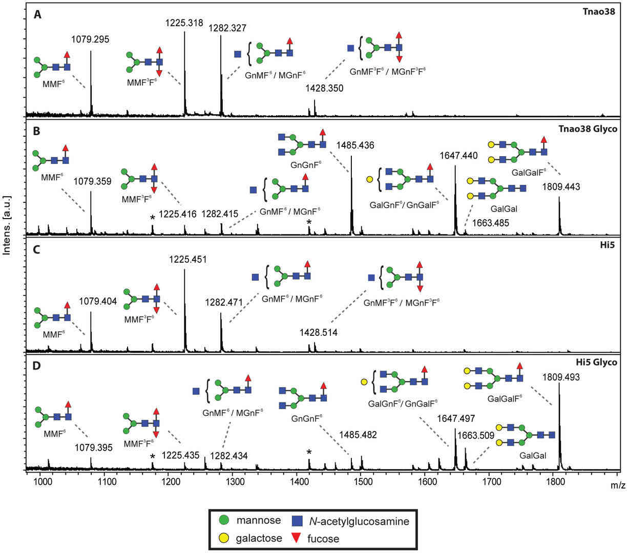 Fig.1 Results of analysis of 3D6 antibody glycans produced by insect expression cells. (Palmberger, et al., 2012)