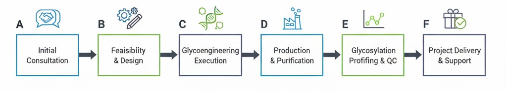 Fig.2 The workflow for glycosylation engineering. (Creative Biolabs Original)