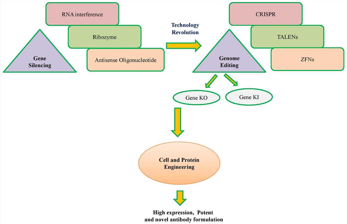 A schematic representation of technology revolution from conventional to modern cell engineering