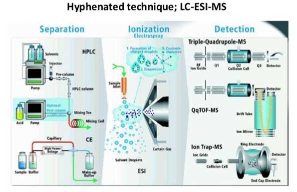 A schematic overview of LC-ESI-MS.