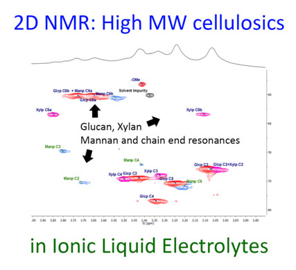 NMR analysis of pulp in ionic liquid electrolyte.