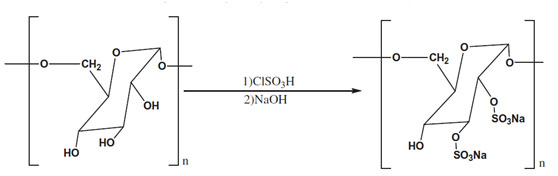 The sulfation of polysaccharide with chlorosulfonic acid-pyridine.