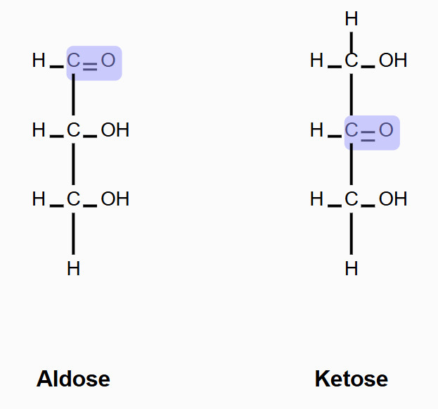Fig.1 The structural properties of aldose and ketose. (Creative Biolabs Original)