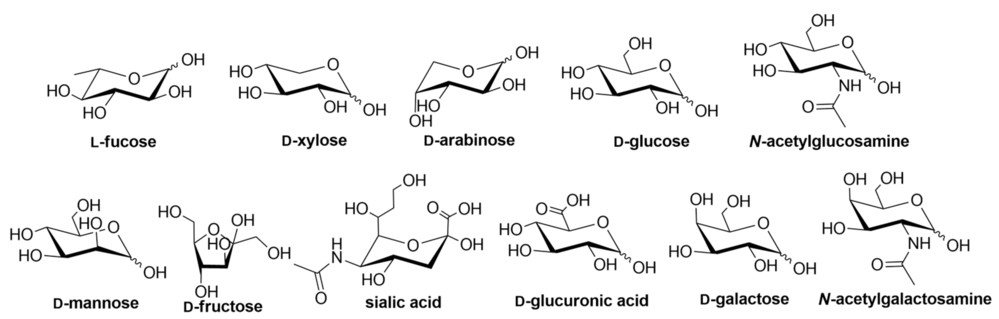 Fig.1 Structures of Carbohydrate Building Blocks