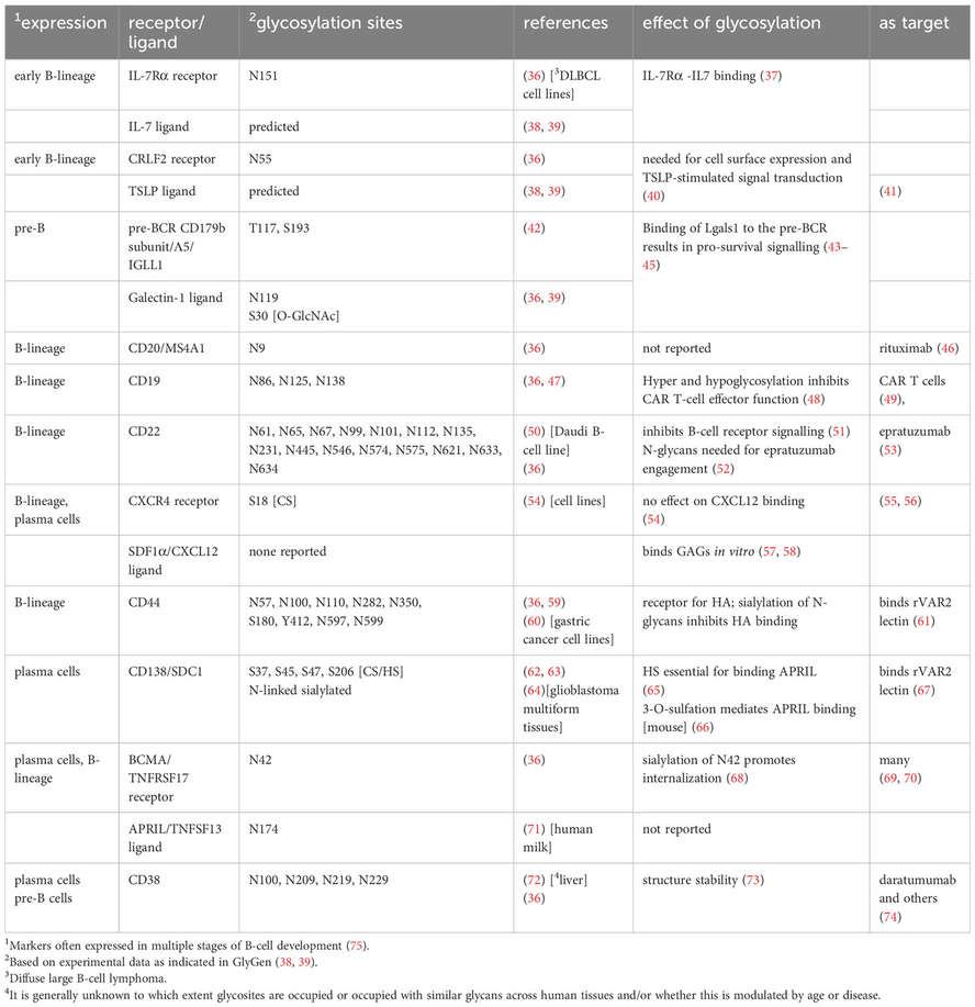 Fig.2 Key Glycoproteins in Human BM B-Cell Homeostasis and Development