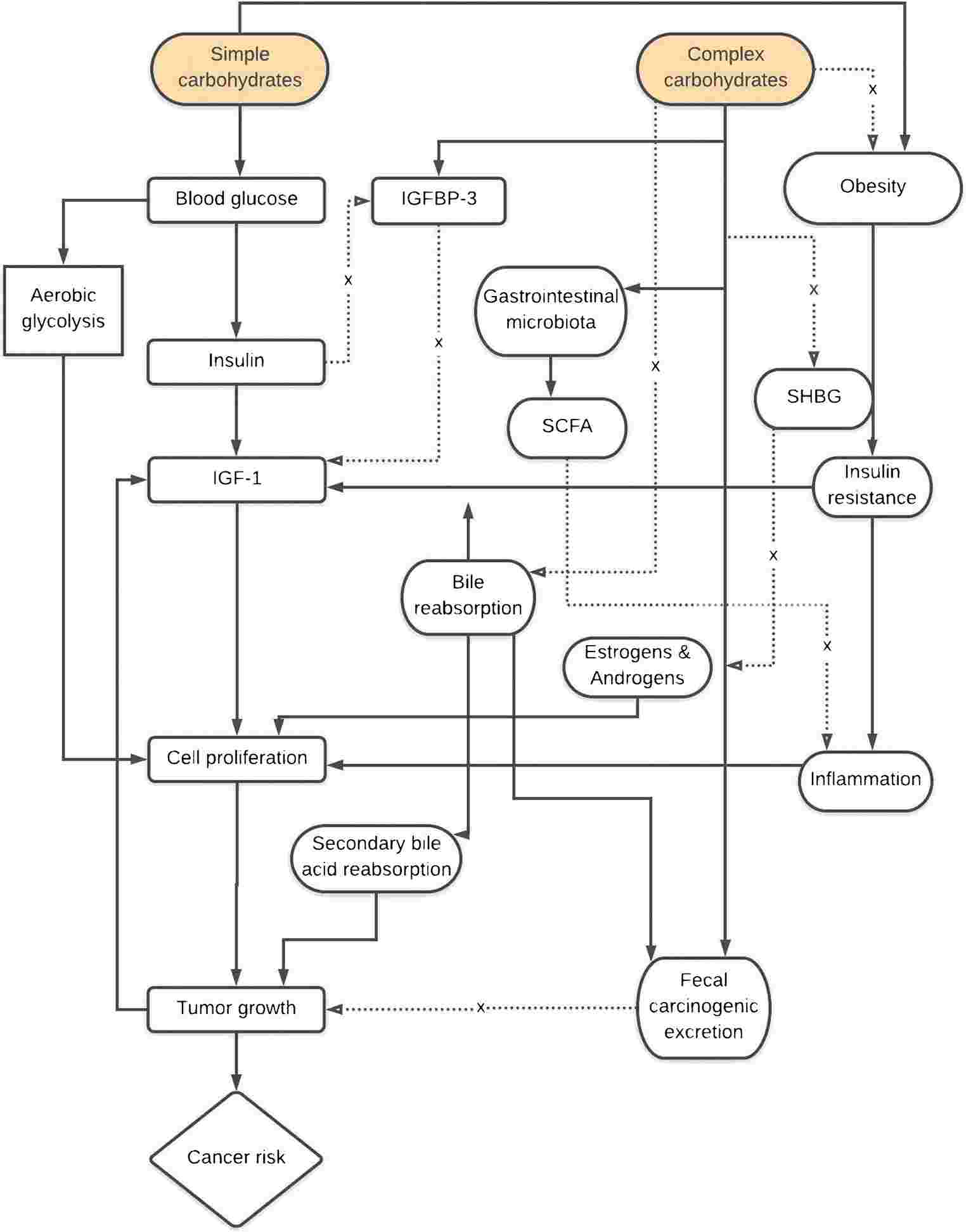 Fig.1 Posited mechanistic frameworks implicating dietary carbohydrates and cancer risk.
