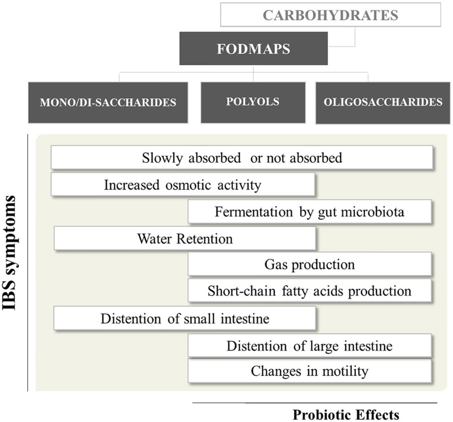 Fig.1 Impact of Short-Chain Carbohydrates on Gut Health.