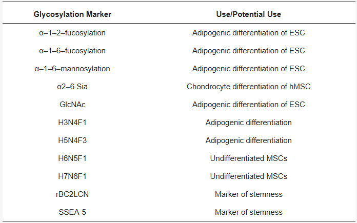 Fig.1 Examples of the Use and Potential of Glycosylation as Markers in Stem Cell Identification and Differentiation.