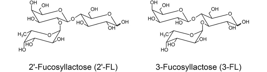 Fig.1 Structure of 2'-fucosyllactose (2'-FL) and 3-fucosyllactose (3-FL).