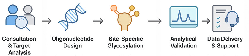 Fig.1 The workflow of glycosylated oligonucleotide engineering. (Creative Biolabs Original)