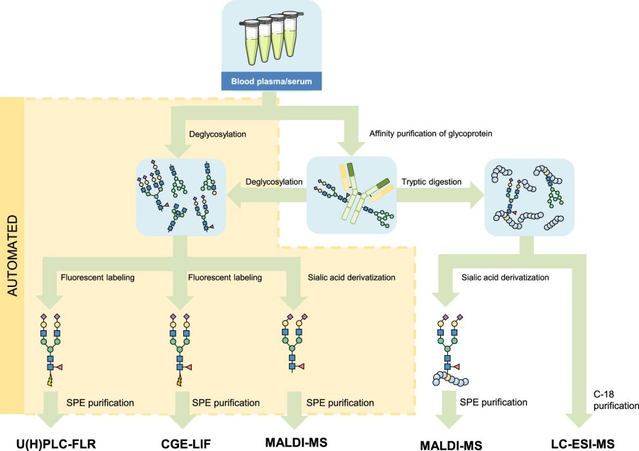 Fig.1 Integrated Workflow for High-Throughput Glycomic Profiling. (OA Literature)