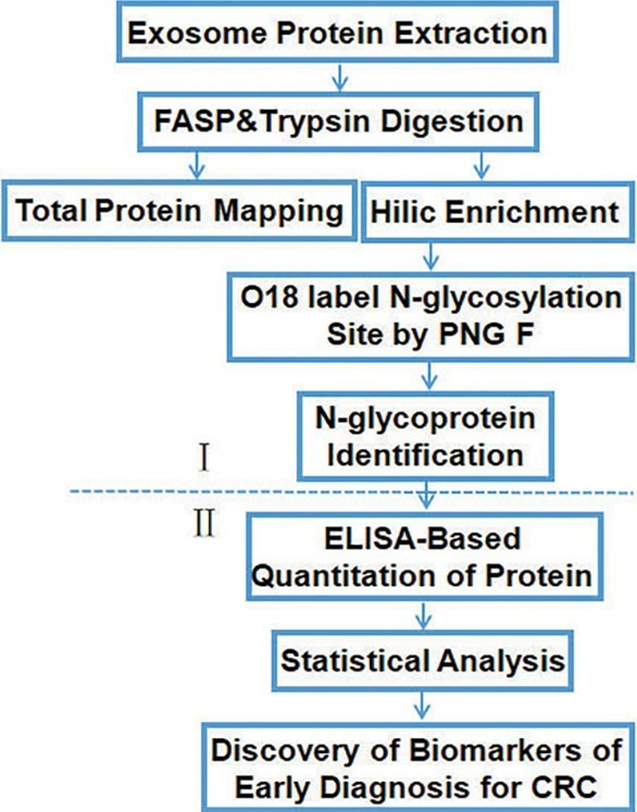 Fig.1 Workflow for identification of specific glycoproteins in CRC.