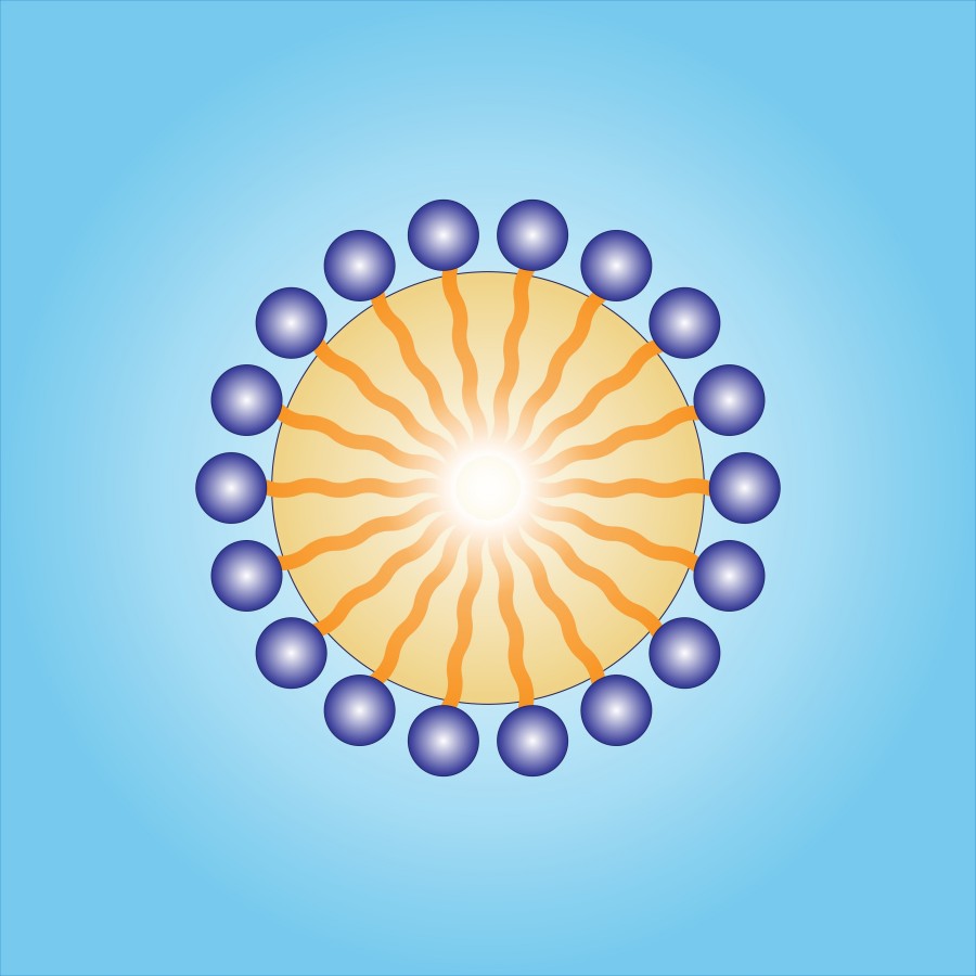 Carbohydrate-based Surfactant. (Creative Biolabs Authorized)